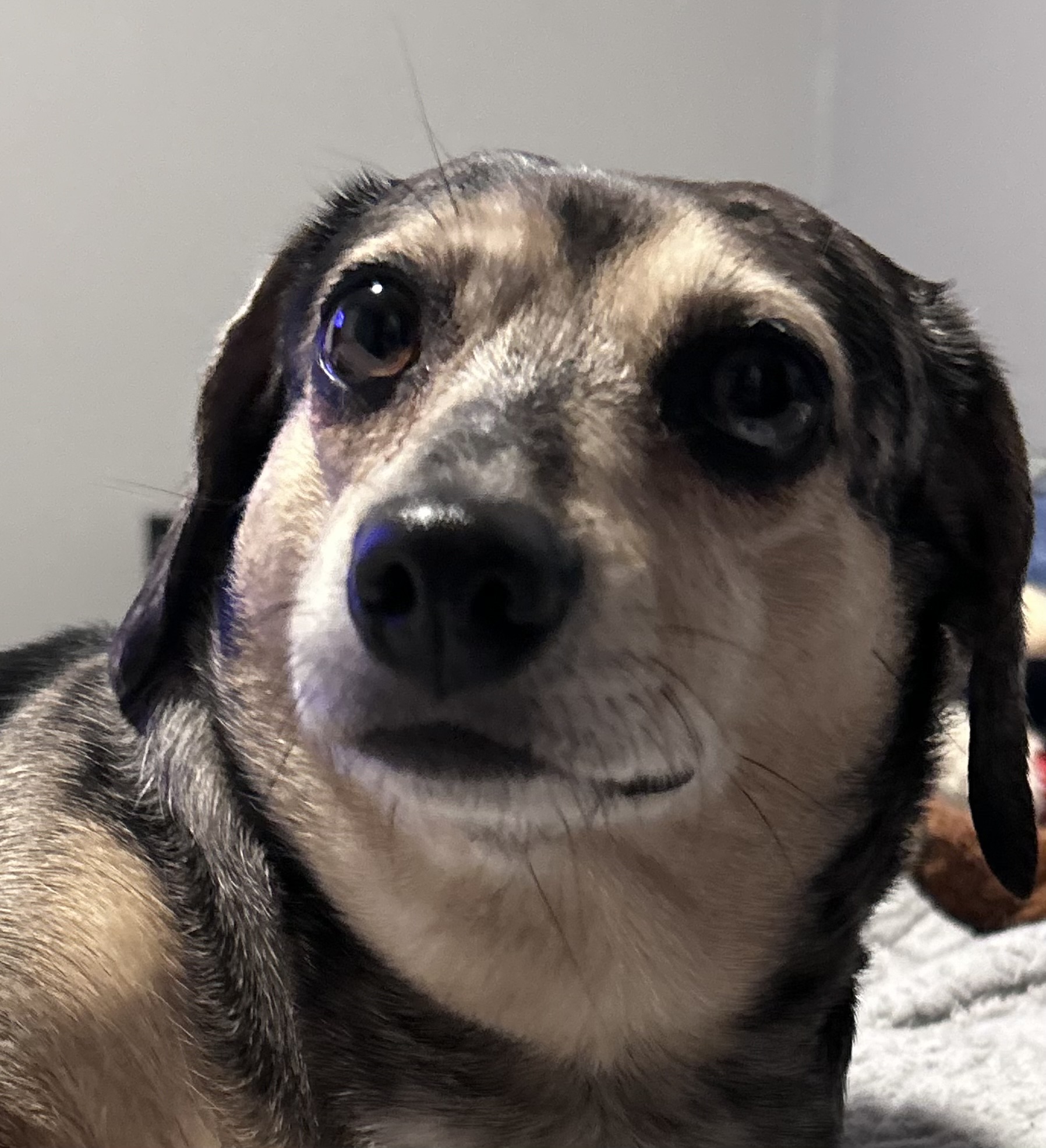 Skye